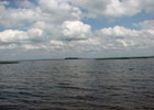 Озеро Світязьске (Світязь)